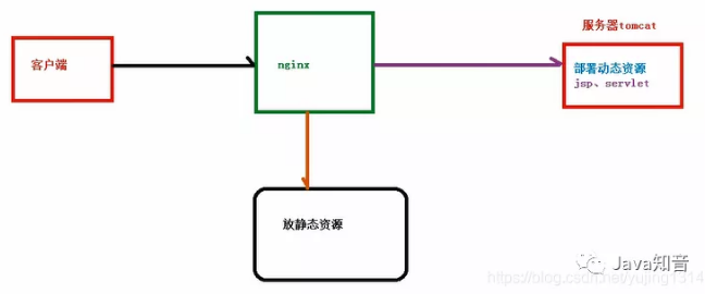 window查找nginx 的进程_服务器_07