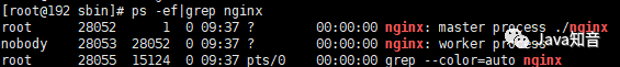 window查找nginx 的进程_nginx_36