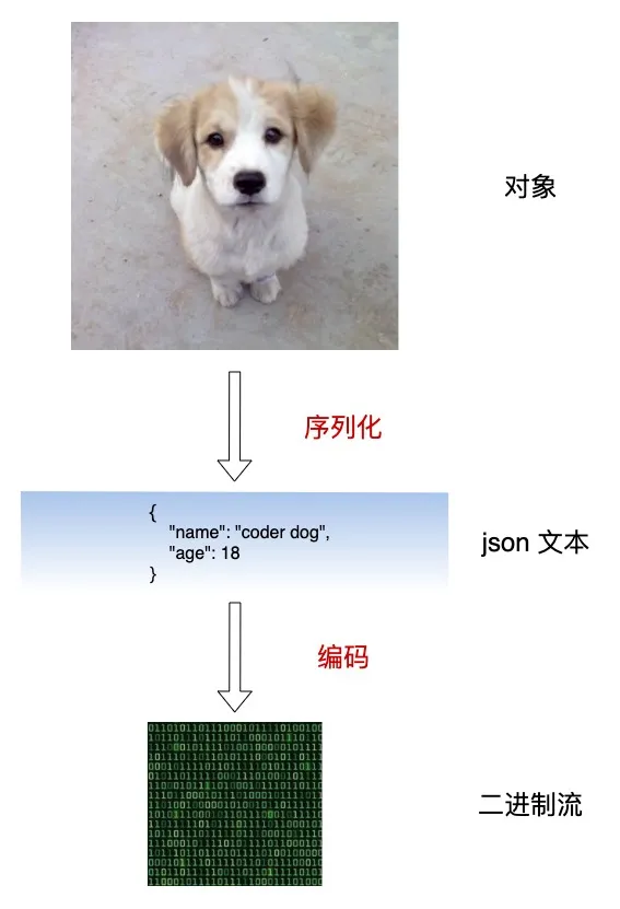 js rpc流程_序列化_09