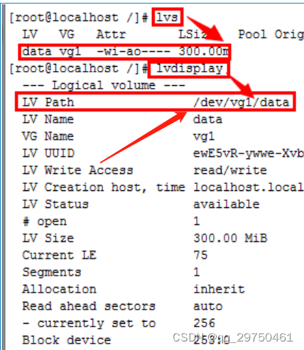 centos7系统把卷组data的剩余空间全部划分逻辑卷给data01_运维_02