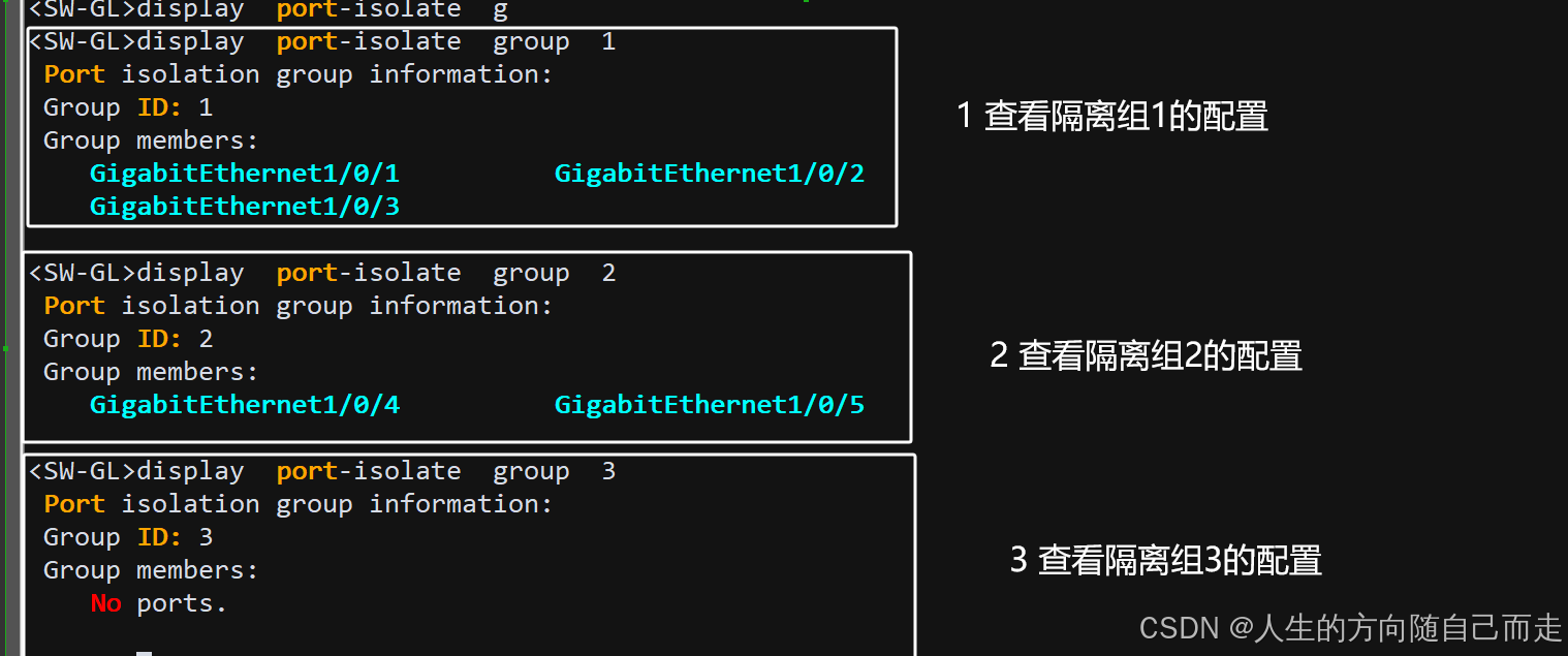 75 华三vlan端口隔离_网络_05