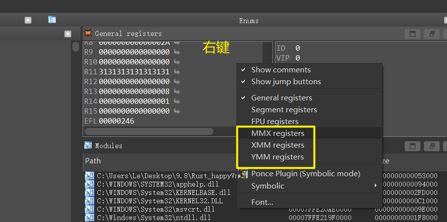 实战逆向RUST语言程序_Rust_06