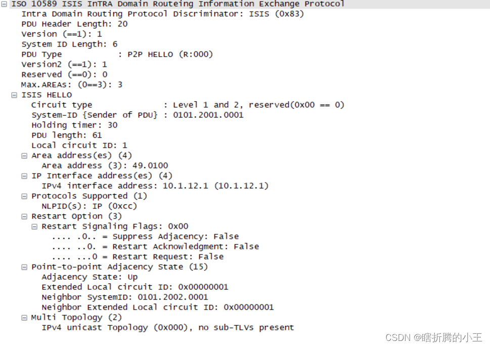 OSPF报文DR是什么_ci_02