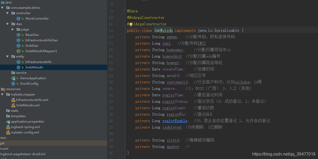 spring boot 配置中 druid可以省略吗_mybatise_02