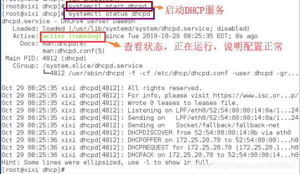 虚拟机 centos dns错误_DNS_28