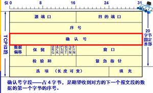 TCP报文Timestamps不准确_TCP_04