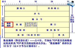 TCP报文Timestamps不准确_IP_05