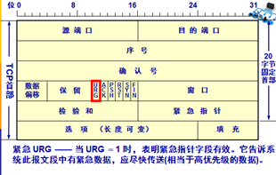 TCP报文Timestamps不准确_首部_07