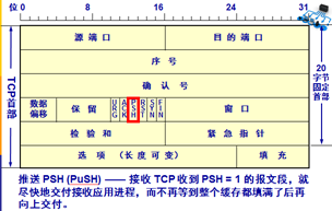 TCP报文Timestamps不准确_TCP_09