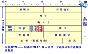 TCP报文Timestamps不准确_首部_11