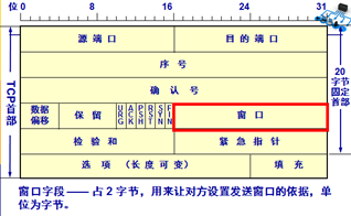 TCP报文Timestamps不准确_IP_13