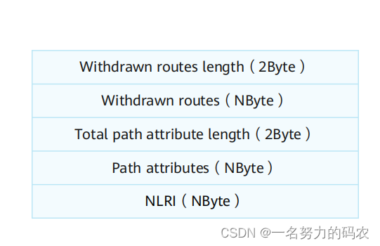 EBGP对等体之间传递路由下一跳_BGP_06