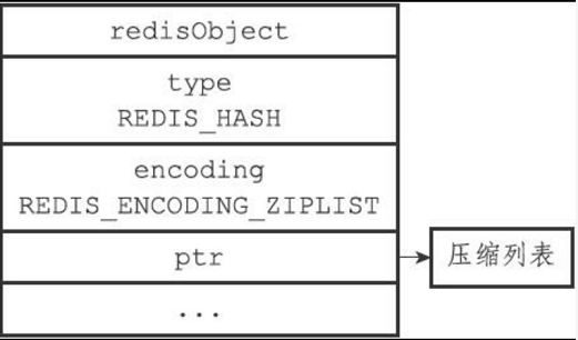 redis 存json类型_编码转换