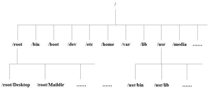 centos 一般在什么目录_文件系统