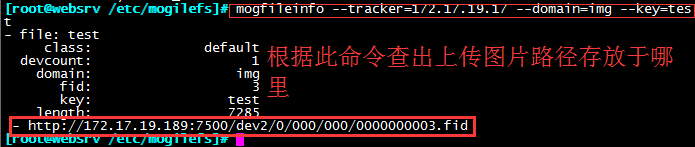 存储分布式和虚拟化_c/c++_04