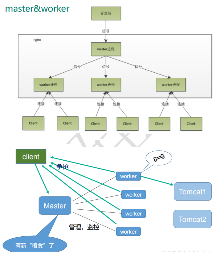 win nginx类似工具_linux_07