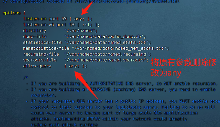 nginx upstream 动态dns_服务器_04