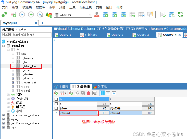 mysql文件超过10g怎么设置_MySQL_48