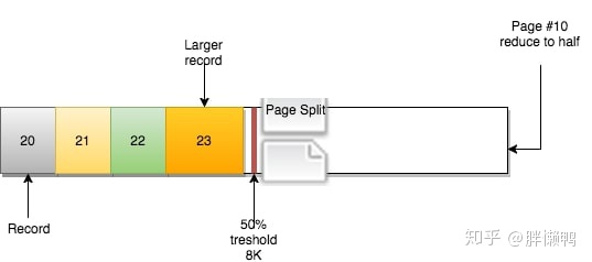 mysql不能两行一起执行_数据_13