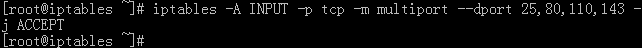 iptables 过滤ip_IP_25