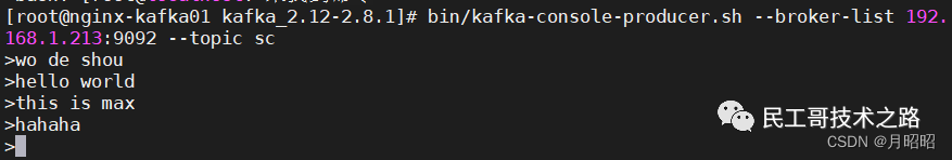 windows下zookeeper配置日志路径_kafka_07