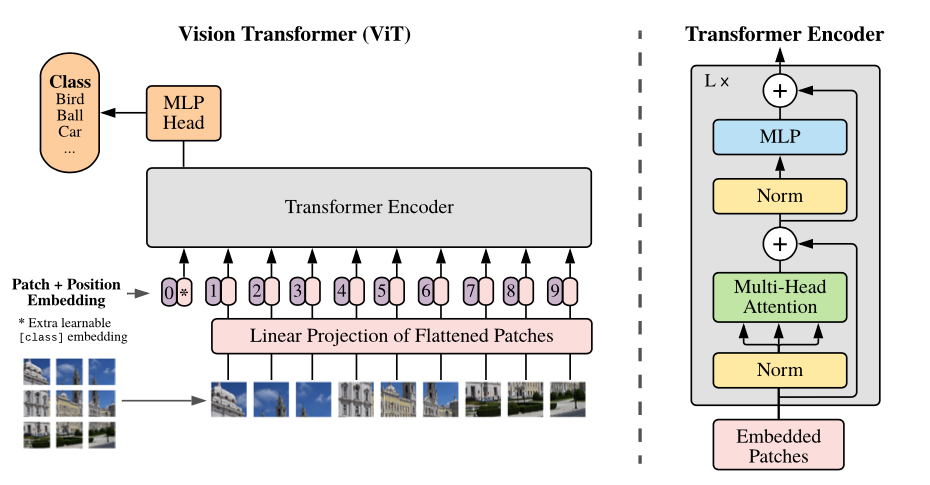 vit transformer图像分类修改_大数据