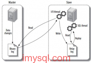 mysql 优化 ifnull_主键