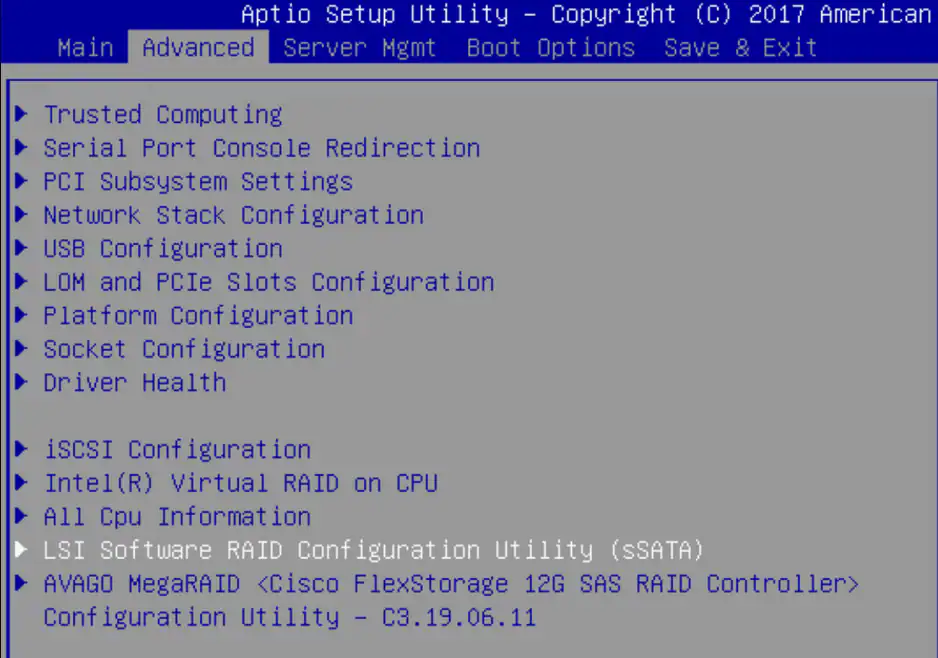 esxi7安装加载raid_配置文件_24