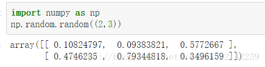 num workers在哪里设置 Pytorch_绝对路径_13