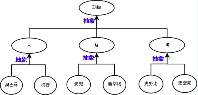 Android申请相机权限没有仅在使用中允许_类名_23