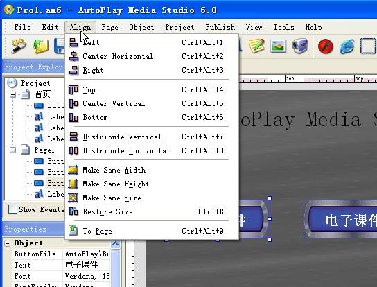 AutoPlay <wbr>Media <wbr>Studio光盘开发利器