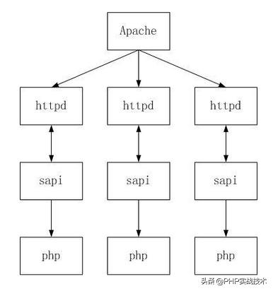 parquet解析 不依赖hadoop_apache是怎么运行php的_03