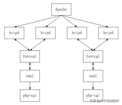 parquet解析 不依赖hadoop_apache是怎么运行php的_04