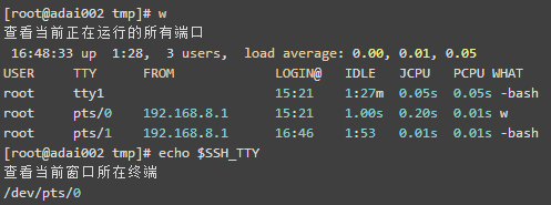 grep 管道问题_python_06