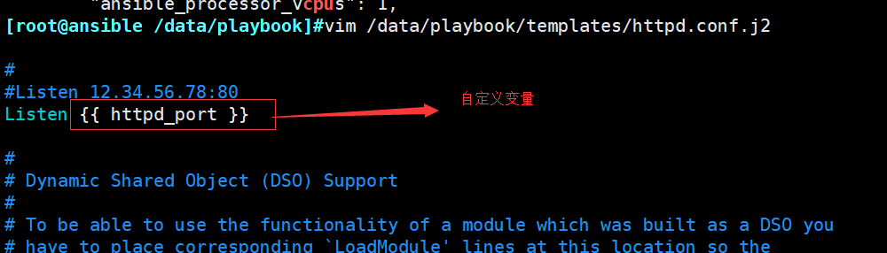 ansible 软连接支持_YAML_31