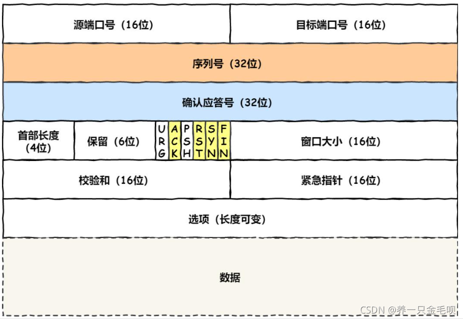 double vlan的类型_double vlan的类型_02