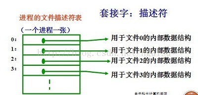 gtest进程通信_网络协议_04