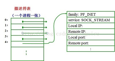 gtest进程通信_gtest进程通信_05