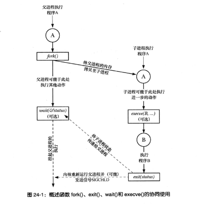 multiprocessing创建2进程其中1个停止则停止所有进程_父子进程