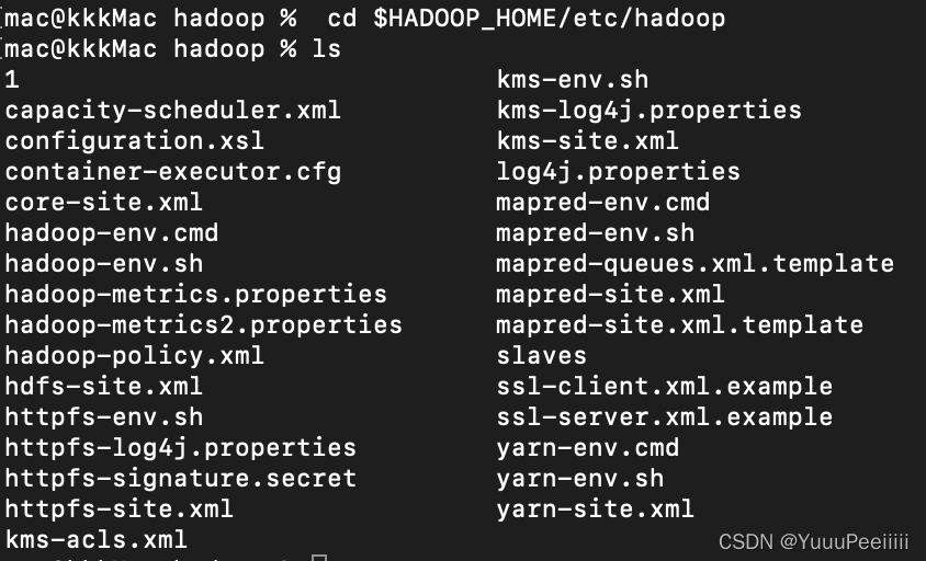 mac hadoop命令没有反应 没有任何输出_Hadoop_02