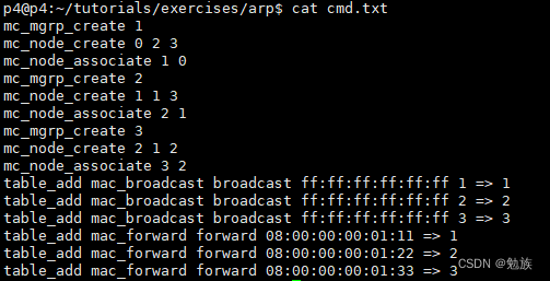 show ip bgp summary 命令哪个表示bgp连接成功呀_bmv2_05