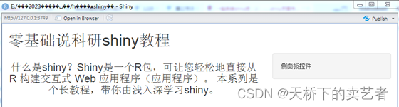 R语言shine_r语言_05