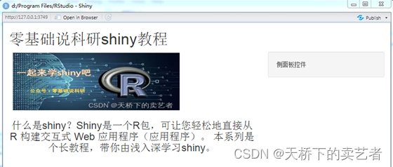 R语言shine_R语言shine_09