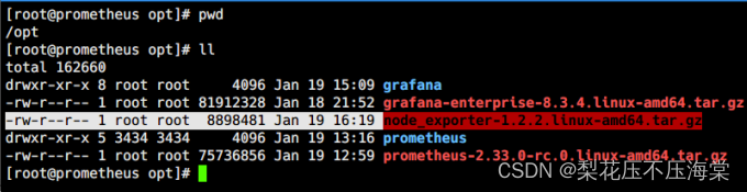 prometheus和grafana的区别_grafana_10