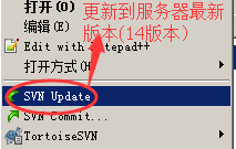 tortoiseSVN版本提交_服务器_06