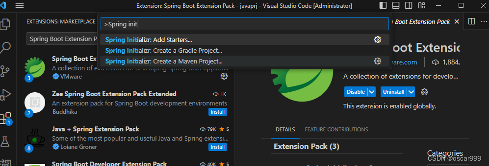 vscode springboot 体验_VS Code_02