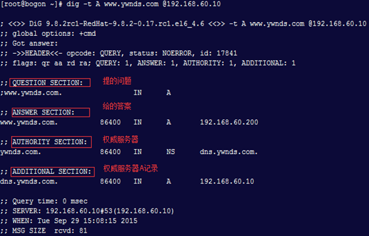 反向DNS查询 android_反向DNS查询 android