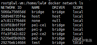 vxlan模拟实验_docker_02