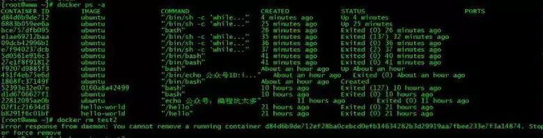 容器 start就退出_ubuntu_13