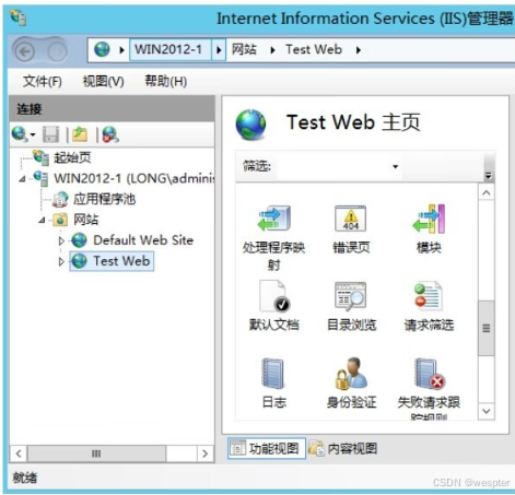 Windows Server 搭建IIS Web服务器实战_IP_06